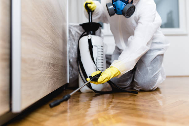 Best Commercial Pest Control Services  in Rossford, OH