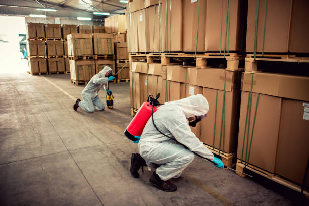 Wildlife Control Services in Rossford, OH