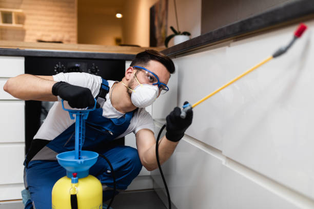 Best Cockroach Control Services  in Rossford, OH