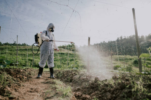 Best Best Pest Control Companies  in Rossford, OH