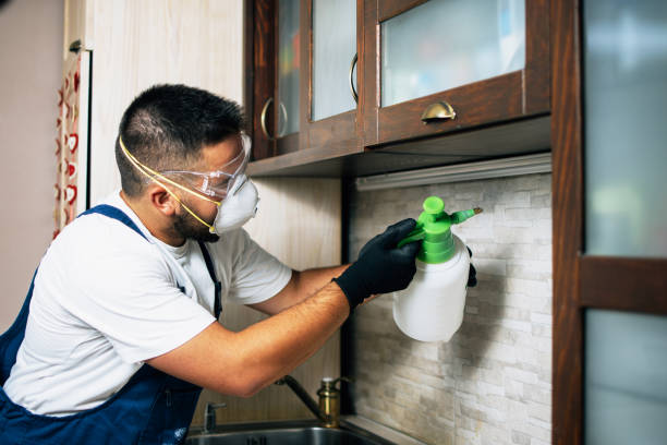 Best Pest Control for Homes  in Rossford, OH