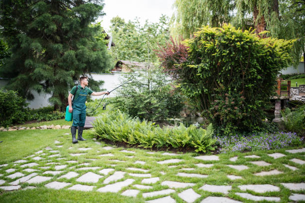 Reliable Rossford, OH Pest Control Solutions