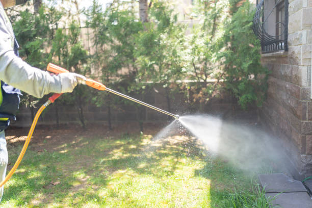 Best Affordable Pest Control Services  in Rossford, OH