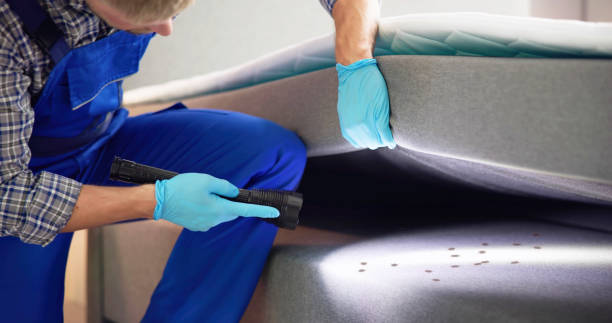 Best Local Pest Control Services  in Rossford, OH