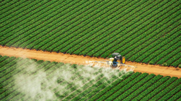 Pest Control Cost in Rossford, OH
