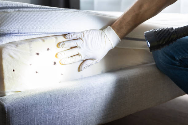 Best Pest Inspection Near Me  in Rossford, OH