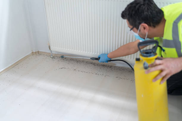 Best Residential Pest Control  in Rossford, OH
